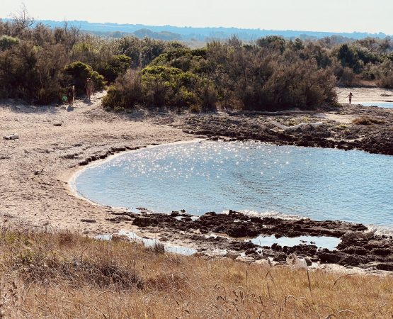 Panorama della riserva naturale di Torre Guaceto con costa, mare e paesaggio protetto
